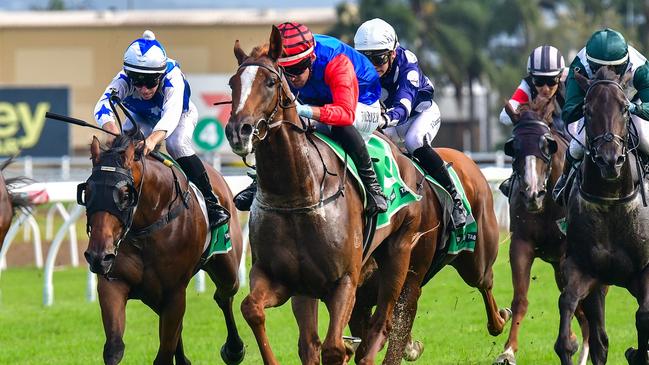 Exciting three-year-old colt Deep Focus will need to conquer a wide barrier to score the Queensland Derby. Picture: Grant Peters/Trackside Photography