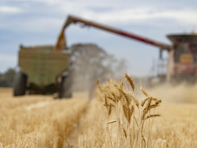 Harvest - Simon Wall at Pine LodgeSimon Wall is a livestock and cropping farmer who will still be harvesting wheat.He thinks he will be finished on Monday afternoon. His property has missed most of the wet weather and storms, so the wheat is performing well and no quality downgrades. PICTURED: Generic harvest. Header and chaser bin. Wheat harvest. Wheat crop. Harvesting wheat. Harvesting. Stock Photo. Picture: Zoe Phillips