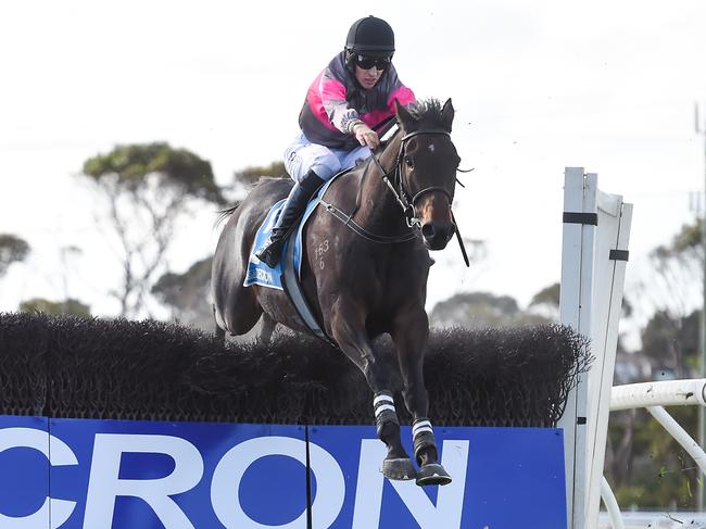 Vanguard (NZ) ridden by Will Gordon (NZ) jumps a steeple on the way to winning the 3YB FM Scotty Stewart Brierly Steeplechase at Warrnambool Racecourse on May 03, 2022 in Warrnambool, Australia. (Pat Scala/Racing Photos via Getty Images)