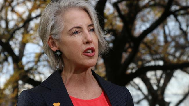 Greens leader Rosalie Woodruff has slammed the state government over Tasmania’s ramping crisis.