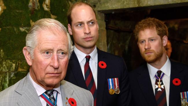 The Windsor men reportedly share a personality trait. Picture: Tim Rooke/Pool/Getty Images