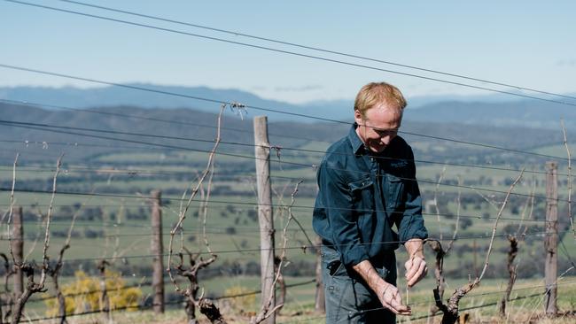 Young Guns of Wine judge Mark Walpole at Fighting Gully Road in Beechworth, Victoria.