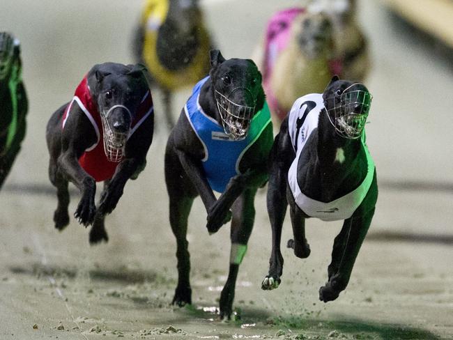 Greyhound racing.