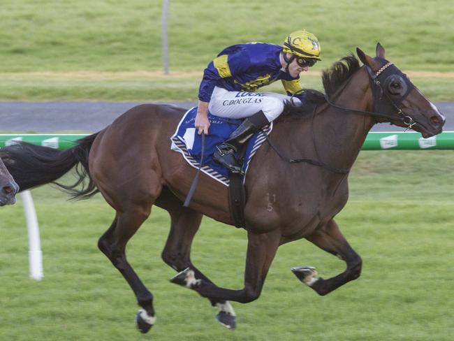 Declarationofheart wins the Group 3 Chairman’s Stakes at Morphettville Picture: Akins Photography