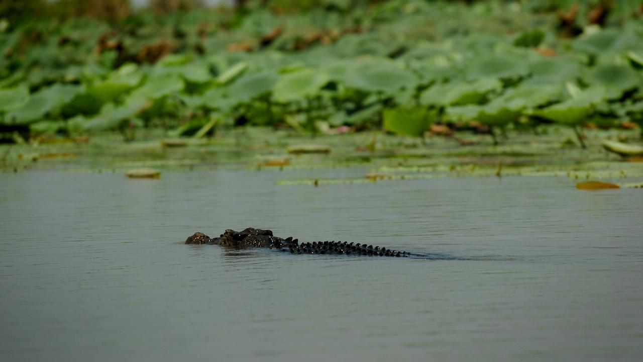 A man stranded for nearly four hours in crocodile-infested waters off the Pellew Islands has been dramatically rescued thanks to quick-thinking locals and emergency responders. NT Police / Supplied.