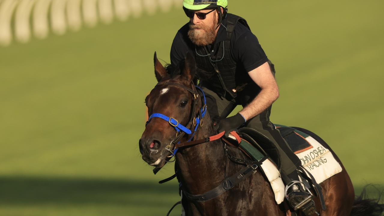 Canterbury Trackwork Session