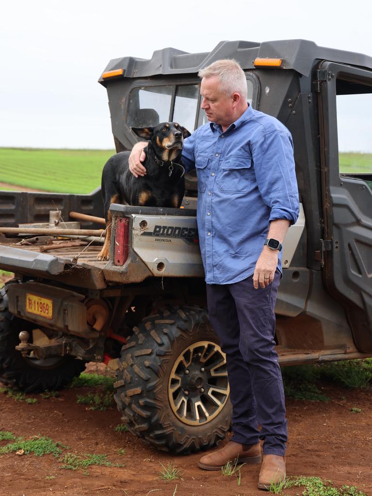 Jeremy Rockliff at his farm at Sassafras with his dog Jack. Picture: James Whiteley.