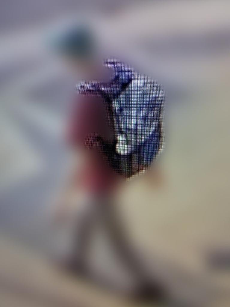 Police are searching for this backpack, which they believe was dumped close to the Toowoomba CBD.