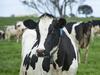 Who are Australia’s biggest dairy farmers