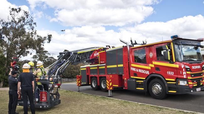 Rose the koala is removed from a tree in Moore Crescent due to concerns for her safety, thanks to the new $1.8 million QFES truck.