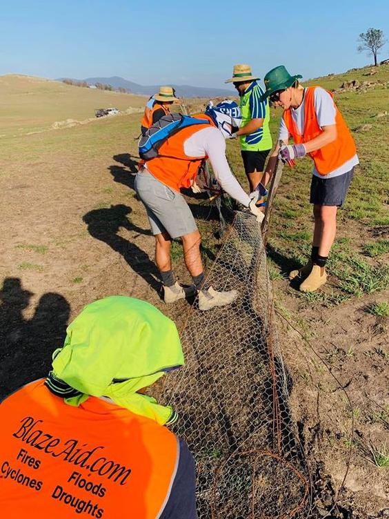 Players from the Newport Breakers rugby club volunteering for Blaze Aid and helping replace fences on a property affected by bushfires near Braidwood. Picture: Supplied