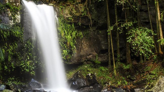 The Curtis Falls at Mt Tamborine provide ideal subject matter for photographers.