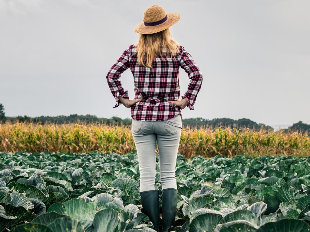 Proud woman farmer looking at her organic farm with growing cabbage at field. Agronomist inspecting vegetable before harvesting