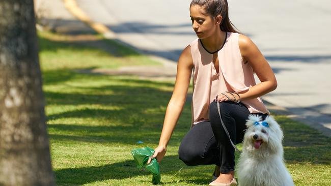 A Sydney resident is naming and shaming dog owners who don’t clean up after their pet.