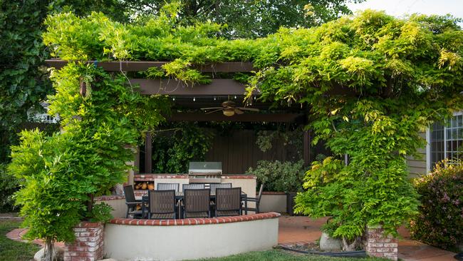 The right grape vine growing over your pergola will stop hot sun reaching your home in summer, and let light and warmth through in winter.