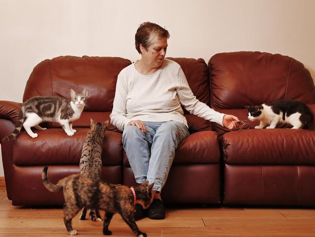 Cindy Easterbrook pictured with the cats she rescues from homes where domestic violence is prevalent. Picture: Sam Ruttyn