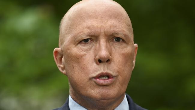 Dutton hits out at ‘activist’ lawyers