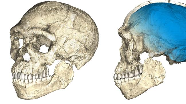 Two views of a composite reconstruction of the earliest known Homo sapiens fossils from Jebel Irhoud (Morocco). Now a fresh DNA analysis suggests it is 100,000 years older than the oldest previously known human remains.