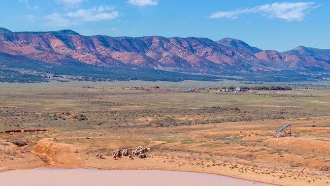 The 44,696ha Wilkatana Station has been sold by Tom Sawer through auction for $7.4 million.