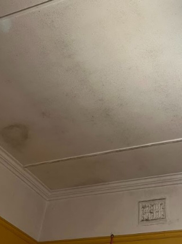 It started as mould in the corner of a room. Picture: Supplied