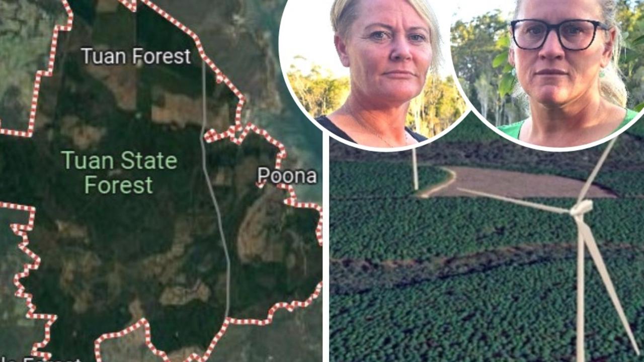 Wide Bay One Nation candidates Katy McCallum and Taryn Gillard are calling for a controversial $2 billion wind farm at the Tuan Forest to be dumped saying it threatened to destroy wildlife instead of saving it.