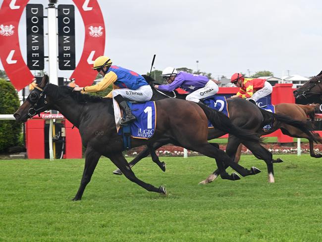 Rex Lipp-trained Cifrado storms into Magic Millions contention by winning the Vo Rogue Plate at Doomben. Picture: Grant Peters, Trackside Photography.