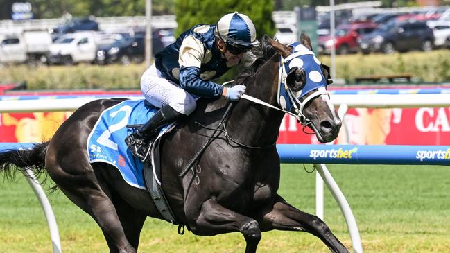 Immediacy will take on the big boys in the Rosehill Guineas. Picture: Reg Ryan/Racing Photos via Getty Images