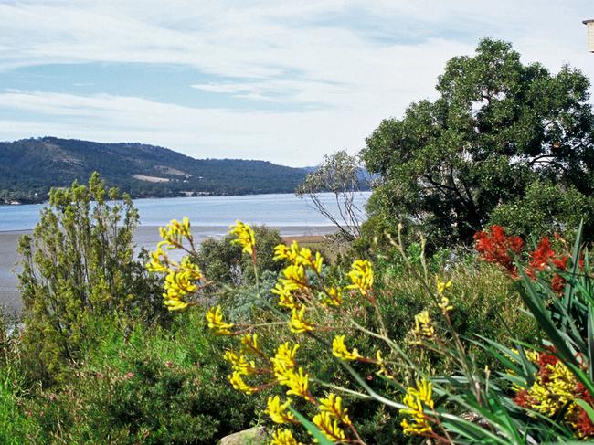 Inverawe Native Gardens