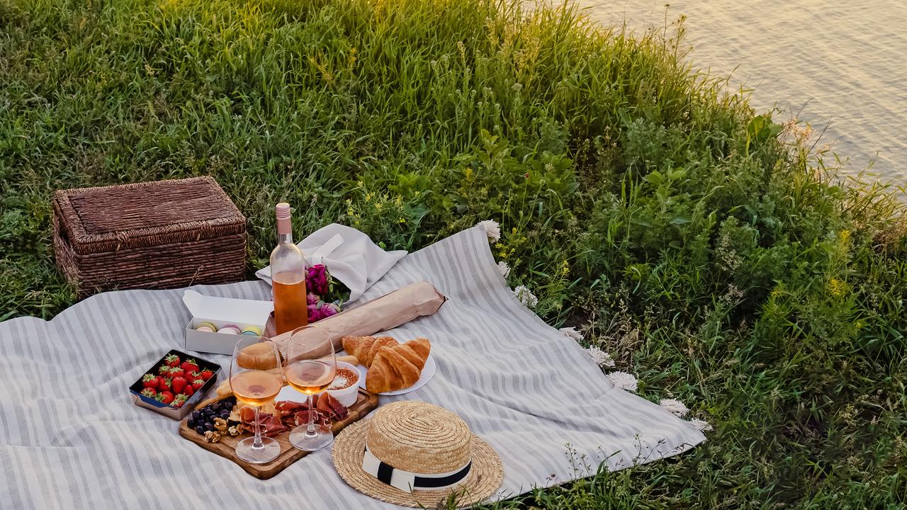 Roll up Picnic Blanket with Carrying Str