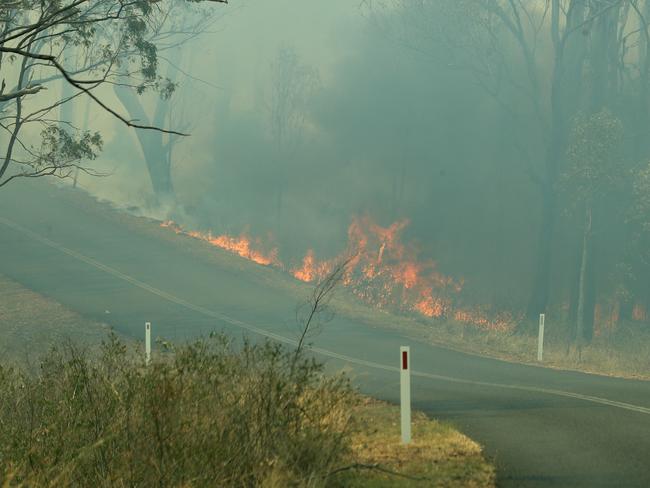 Bushfire crossing Mount Jockey Rd, Ravensbourne. Photographer: Liam Kidston.