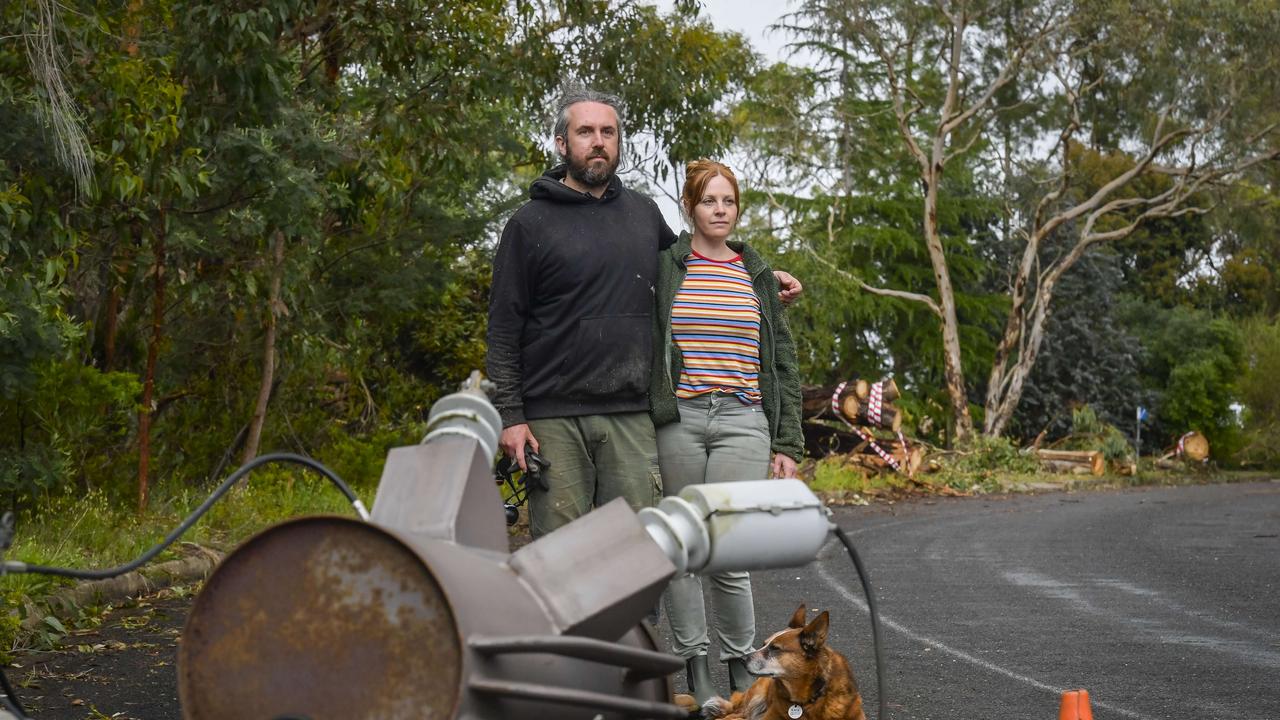 Homeowners Ben Koch, Gemma Opie with their dog Kirra at Upper Sturt., Picture: Roy VanDerVegt