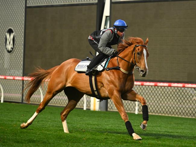 MELBOURNE, AUSTRALIA - SEPTEMBER 05: Craig Williams riding Giga Kick during track gallops at Moonee Valley Racecourse on September 05, 2023 in Melbourne, Australia. (Photo by Vince Caligiuri/Getty Images)