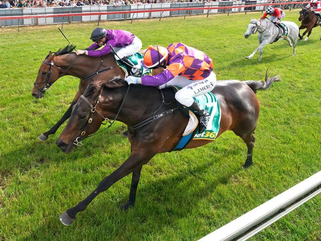 Mi Rock Aly (NZ) ridden by Linda Meech wins the bet365 Mortlake Cup at Mortlake Racecourse on November 02, 2024 in Mortlake, Australia. (Photo by Jay Town/Racing Photos)