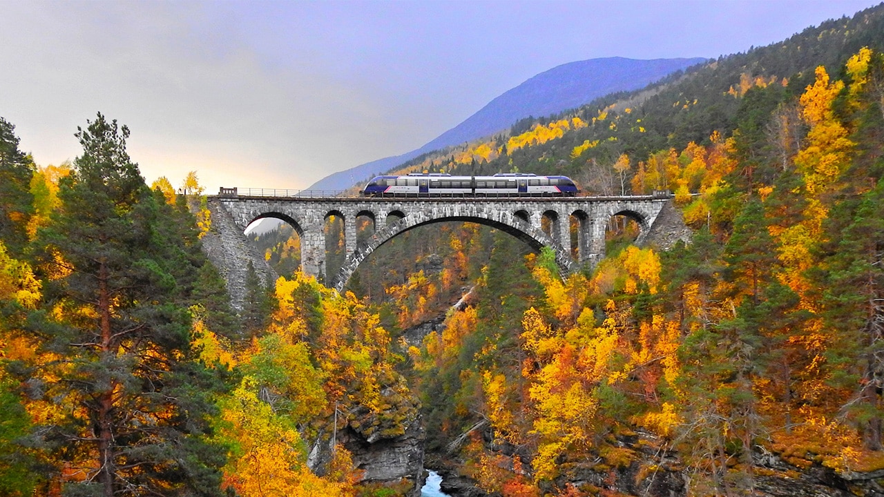 Norway's spectacular railways are rated among the most accessible.