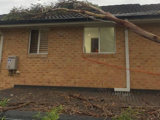 A number of large tree branches fell on homes during the storm that had winds gusting to 65km/h. Picture: SES Pittwater/Warringah