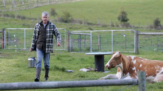 Gourmet Farmer Matthew Evans at his Fat Pig Farm at Glaziers Bay. Picture: LUKE BOWDEN