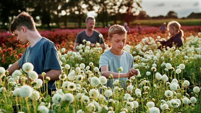 A scene from Lukas Dhont’s film about childhood, Close. Picture: Kris Dewitte