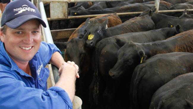 David Maconochie, Hopkins River Beef, with some of the carbon-assessed steers from Davilak that he purchased at Wangaratta on Wednesday. Picture: Jenny Kelly