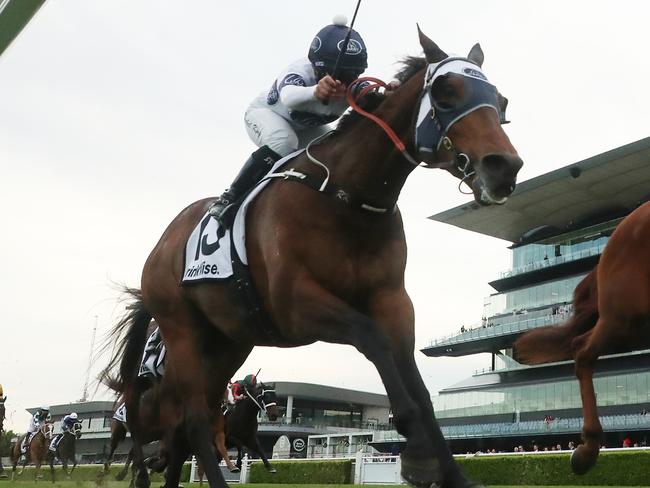 SYDNEY, AUSTRALIA - MAY 25: Chad Schofield riding Golden Path wins Race 9 PF Civil EquipmentÃÂ  during the "Sporting Chance Cancer Foundation Raceday" - Sydney Racing at Royal Randwick Racecourse on May 25, 2024 in Sydney, Australia. (Photo by Jeremy Ng/Getty Images)