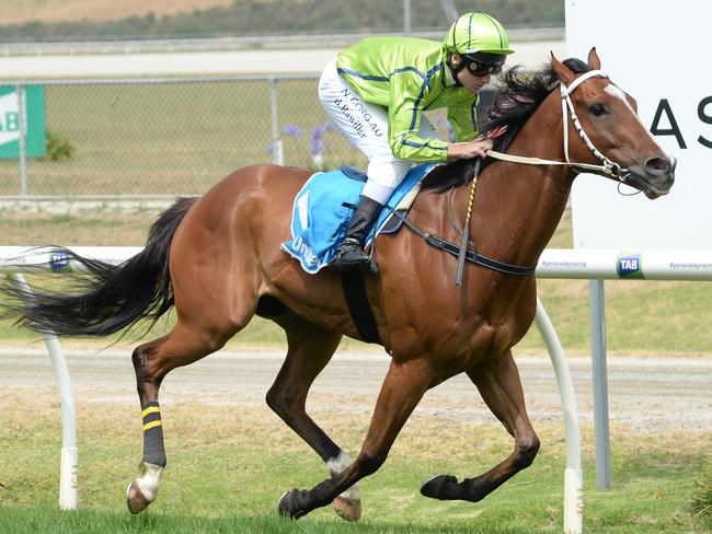 Dash For Dee wins at Yarra Valley on Wednesday. Picture: Getty Images