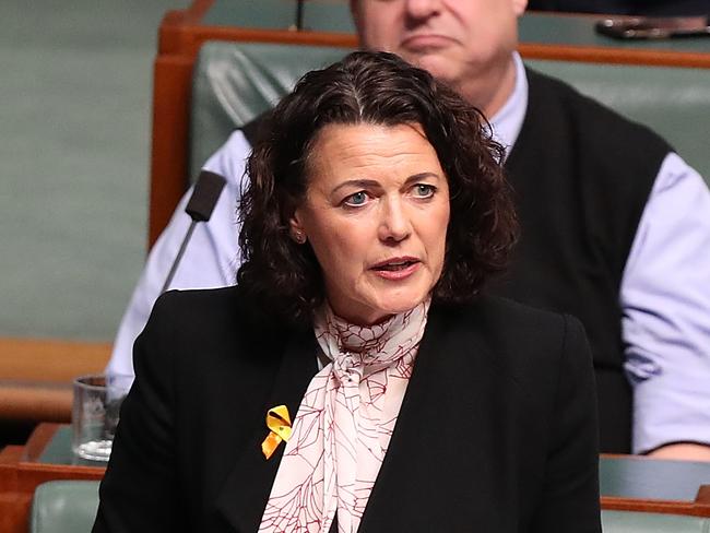 New Labor MP Libby Coker during her first speech to parliament, in Canberra. Picture Kym Smith