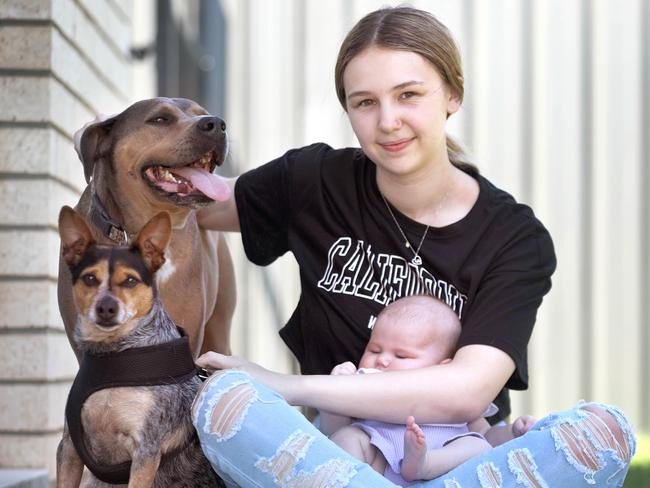 Dusty, an American Staffy was bitten by a brown snake, but was saved from further attack by Roxy, a Chihuahua x Blue Heeler. Their owner, Tayla McKenzie with 3 month old baby Aria and the two happy dogs. 8 November 2022. Picture Dean Martin