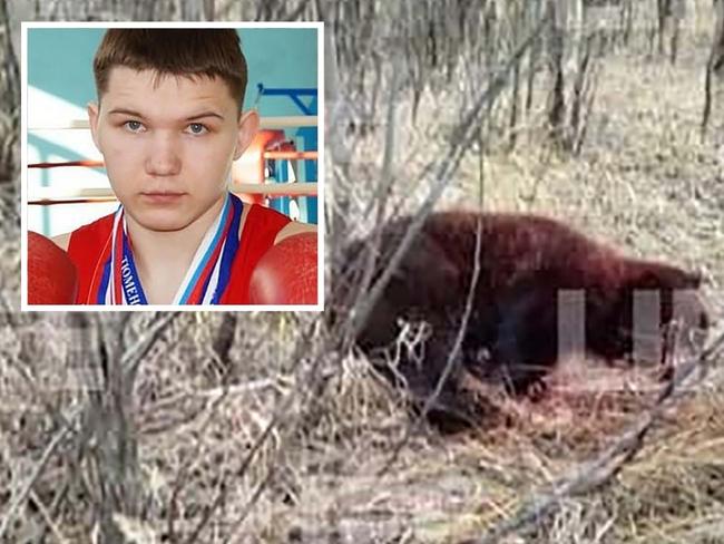 Boxer in ‘grave condition’ after bear mauling