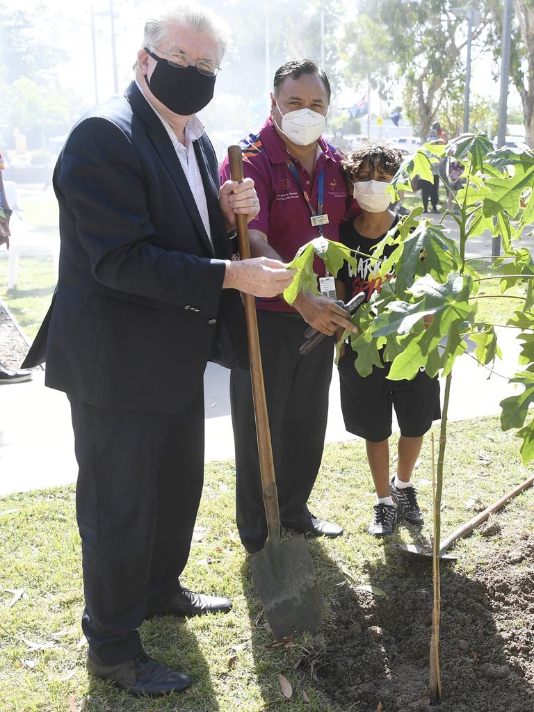 Townsville University Hospital unveils special symbolic tree ...