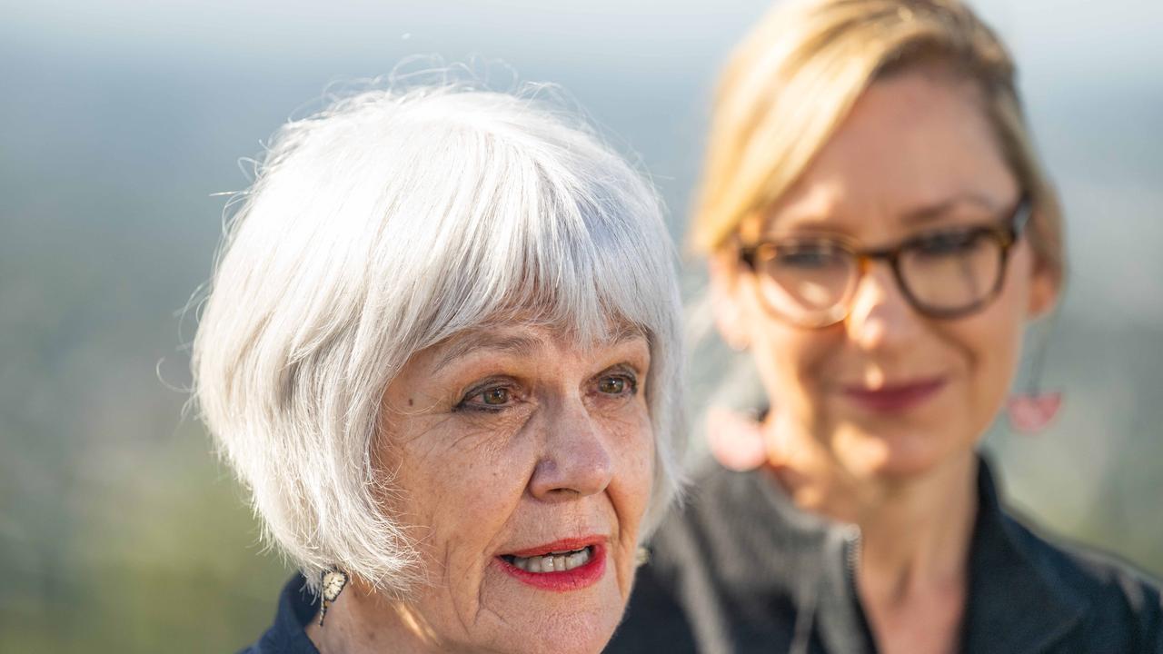 Greens retain seat of Ryan, vow to ‘press’ Labor