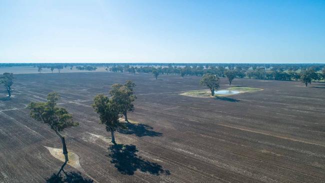 About 50 per cent of Castle Creek has traditionally been used for mixed winter cropping.