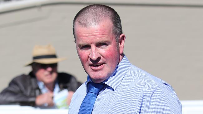 Trainer Michael Nolan will have a strong team at Toowoomba on Saturday. Picture: Jack Tran