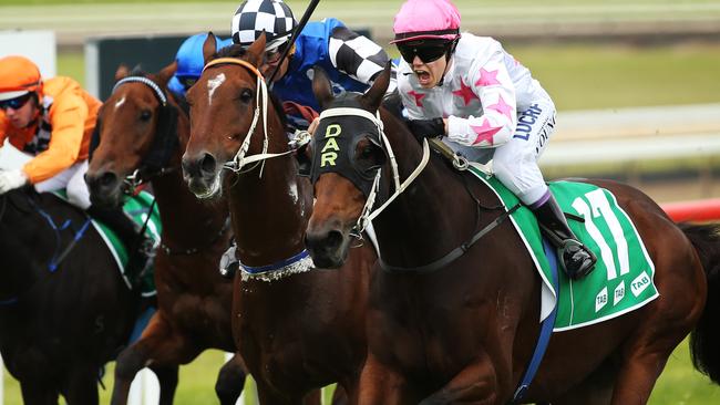 Shayne O’Cass has made Blackall (not pictured) his best bet in the third at Bathurst.