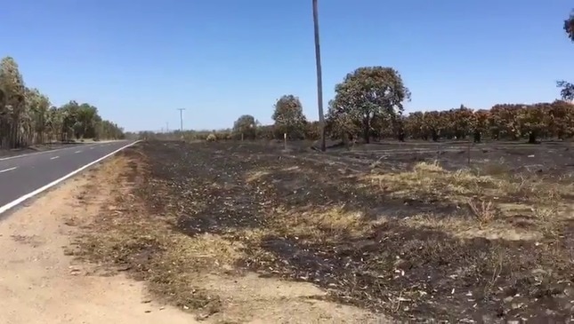 Home destroyed by bushfire at Biboohra