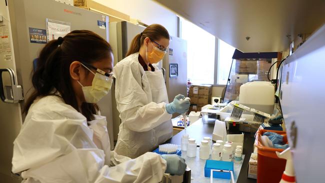 Medical lab scientists work on samples collected in the Novavax Phase III Covid-19 clinical vaccine trial at the UW Medicine Retrovirology Lab in Seattle, Washington. Picture: Karen Ducey/Getty Images/AFP